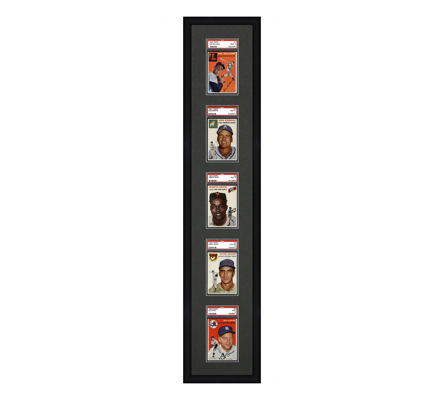 Card Frame Display - 5 Openings for PSA Graded Slabs