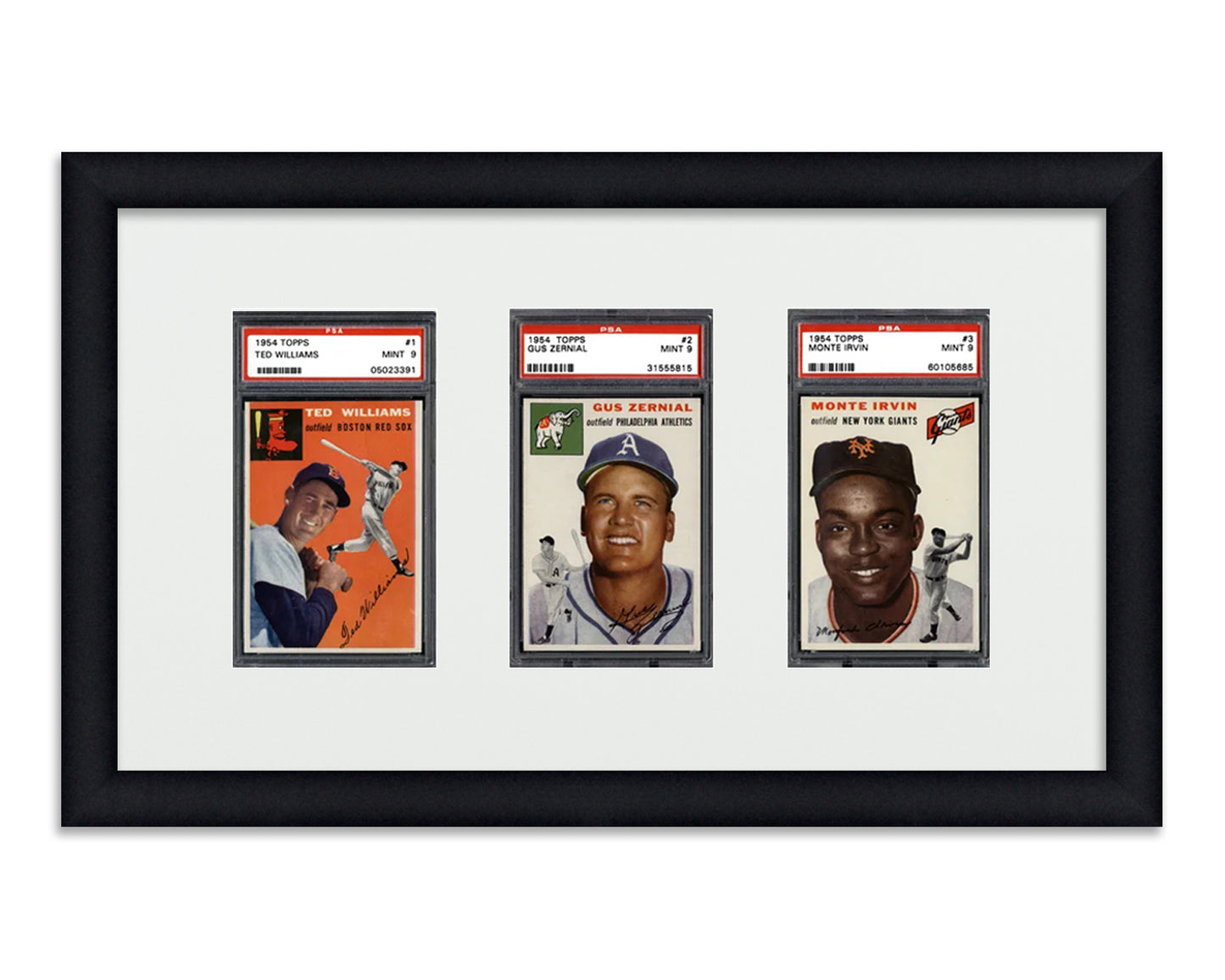 Framed Card Display for standard PSA Graded card slabs in a 3 wide layout with a white background and black frame