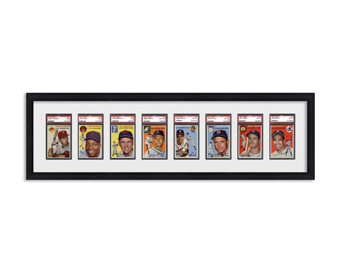 Framed Card Display for standard PSA Graded card slabs in a 8 wide layout with a white background and black frame