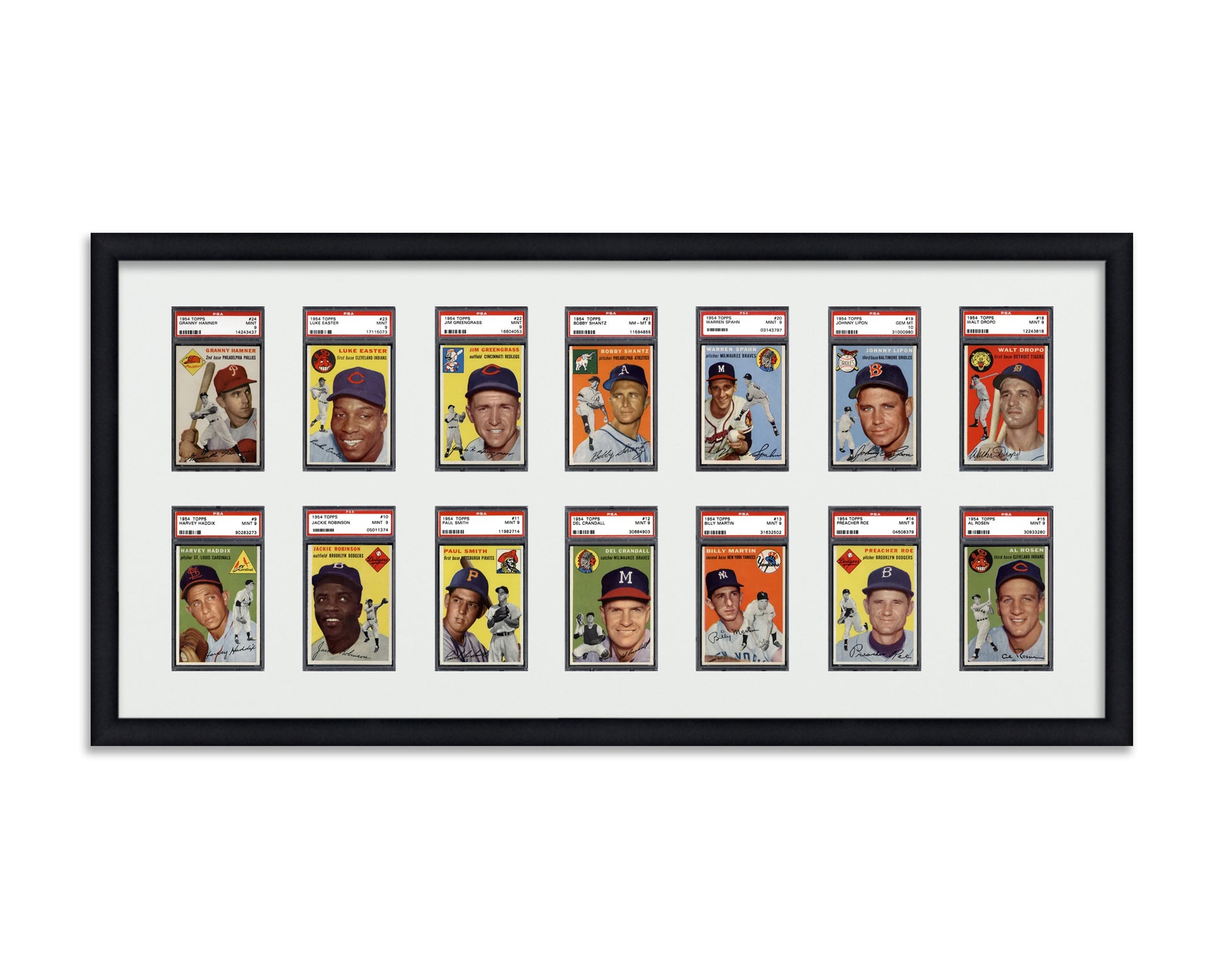 Framed Card Display for standard PSA Graded card slabs in a 2x7 layout with a white background and black frame