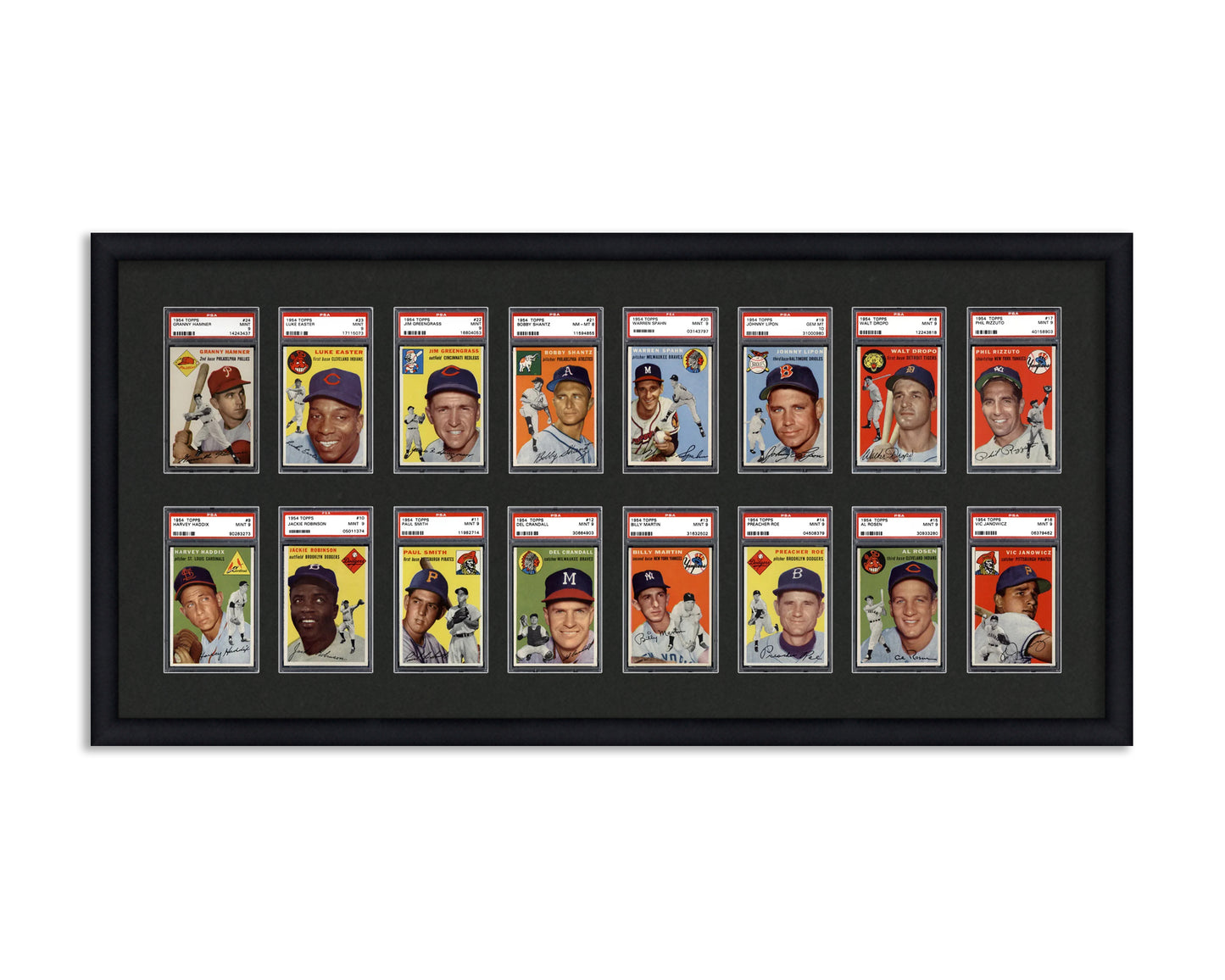 Framed Card Display for standard PSA Graded card slabs in a 2x8 layout with a black background and black frame