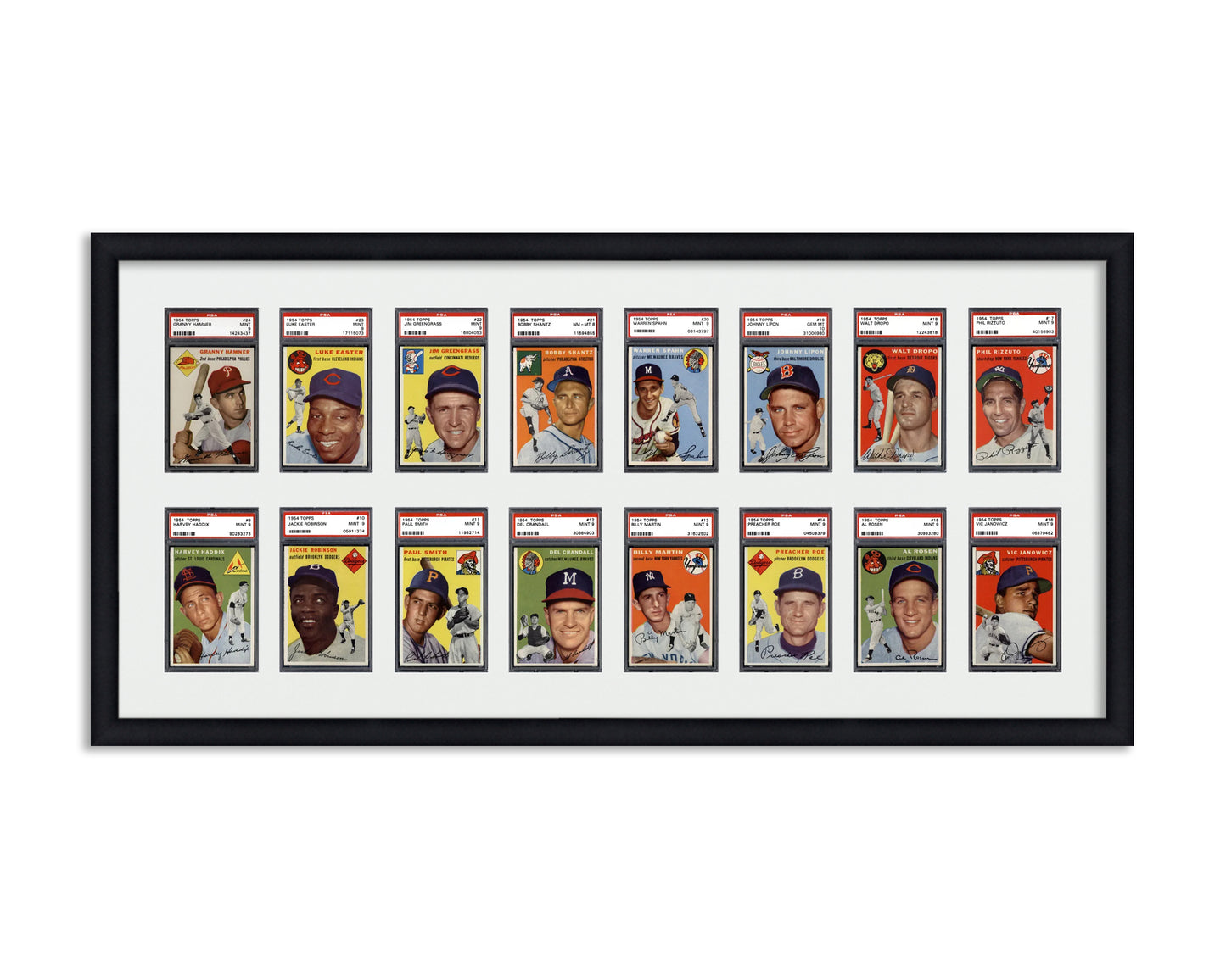 Framed Card Display for standard PSA Graded card slabs in a 2x8 layout with a white background and black frame