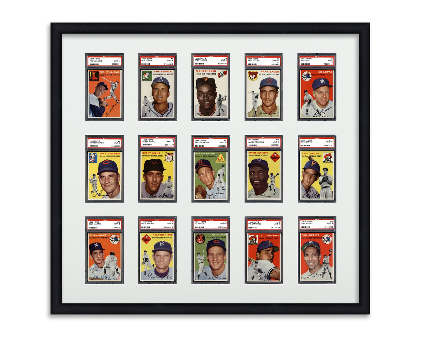 Framed Card Display for standard PSA Graded card slabs in a 3x5 layout with a white background and black frame