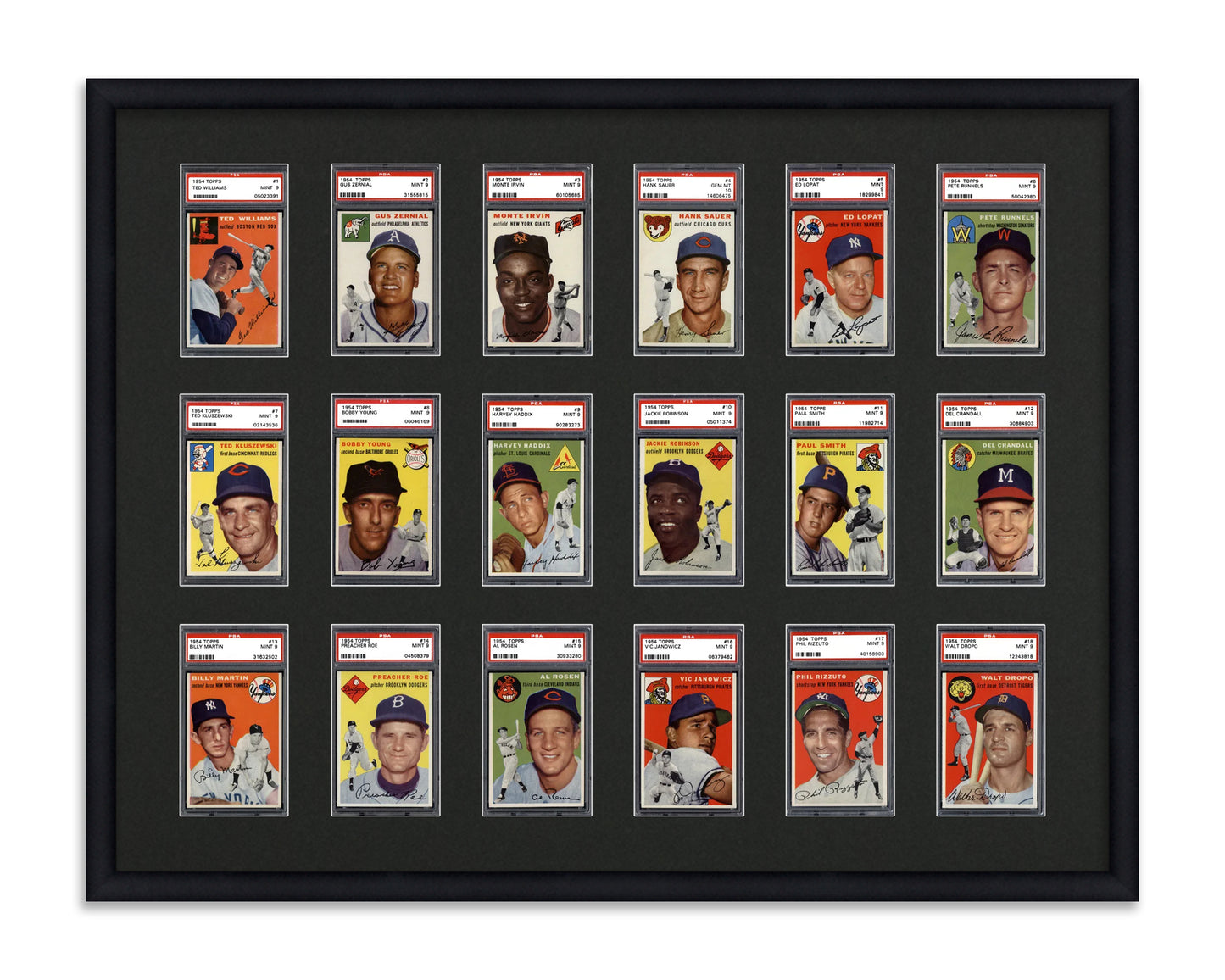 Framed Card Display for standard PSA Graded card slabs in a 3x6 layout with a black background and black frame