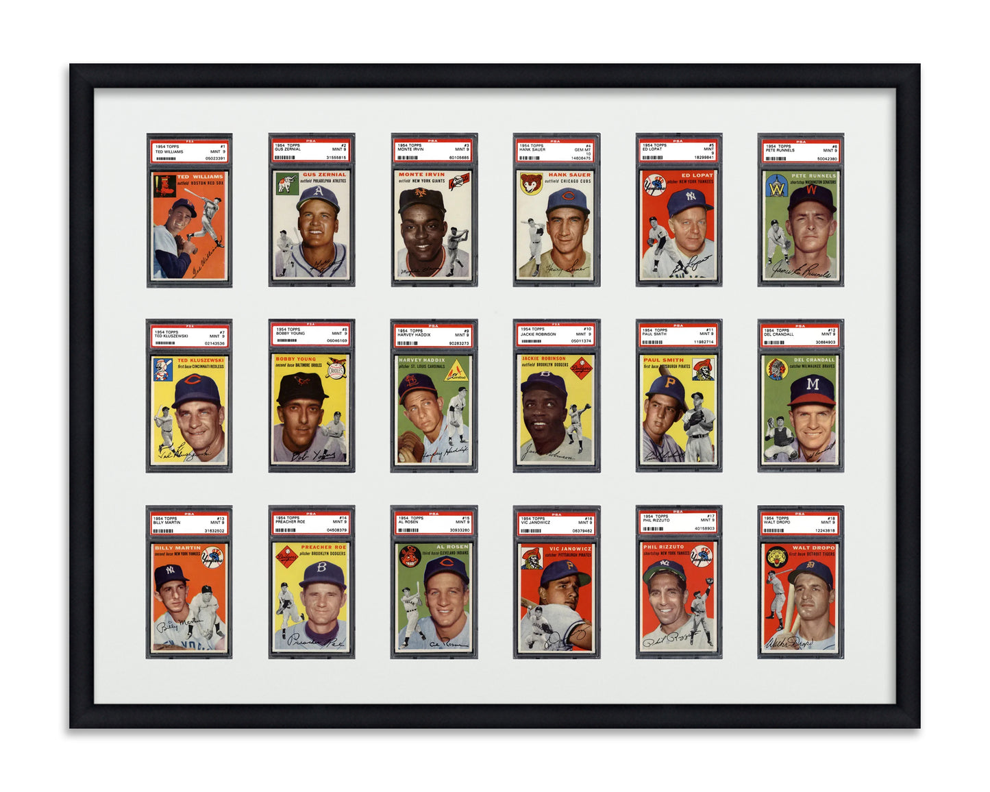 Framed Card Display for standard PSA Graded card slabs in a 3x6 layout with a white background and black frame