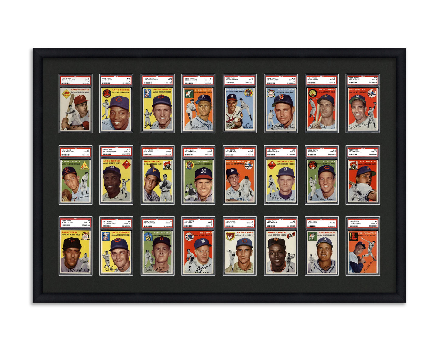 Framed Card Display for standard PSA Graded card slabs in a 3x8 layout with a black background and black frame