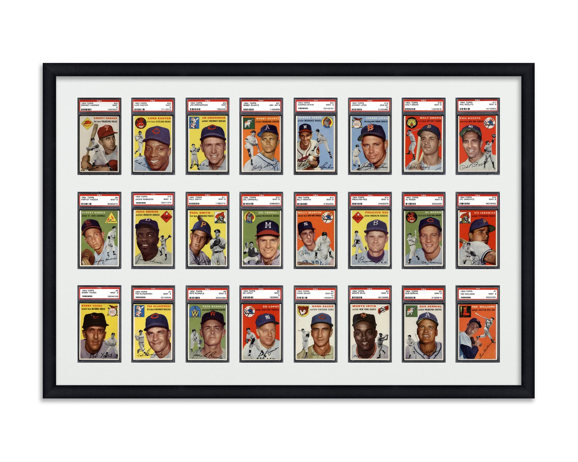 Framed Card Display for standard PSA Graded card slabs in a 3x8 layout with a white background and black frame